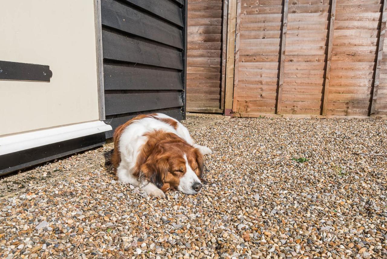 Abigail'S Cottage, Wickham Market วูดบริดจ์ ภายนอก รูปภาพ